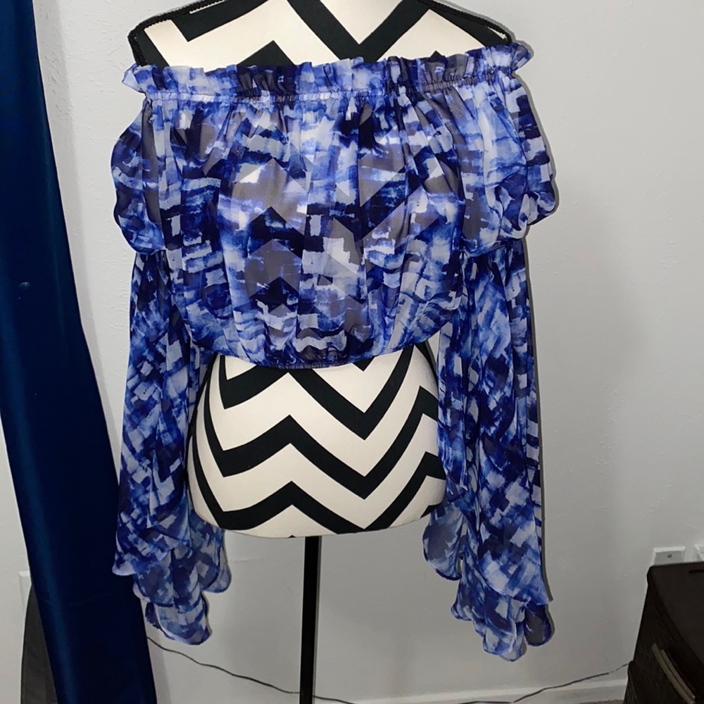 NWOT Sheer Blue Crop Top